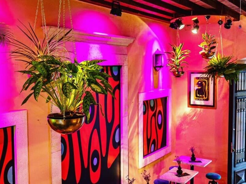 POKUS street food bar